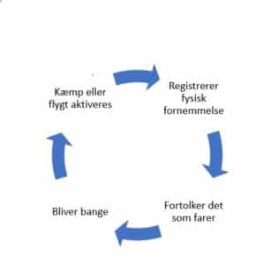 Fejltolkningens cirkel